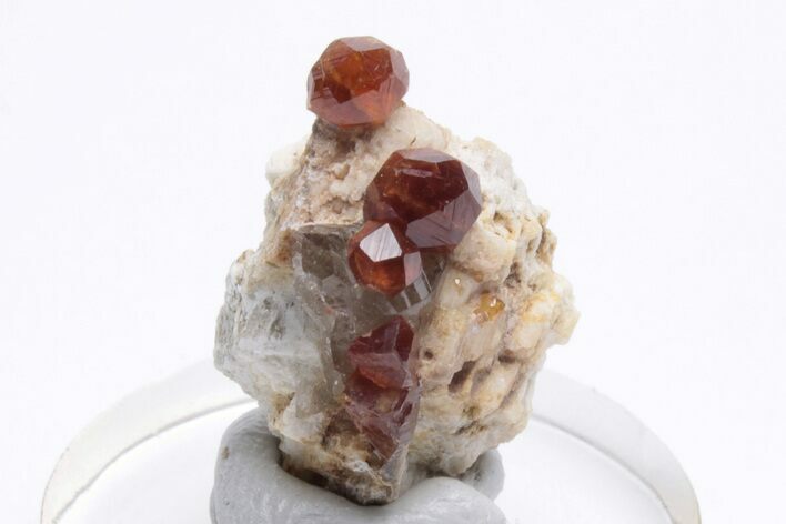 Gemmy Spessartine Garnets on Smoky Quartz - China #212277